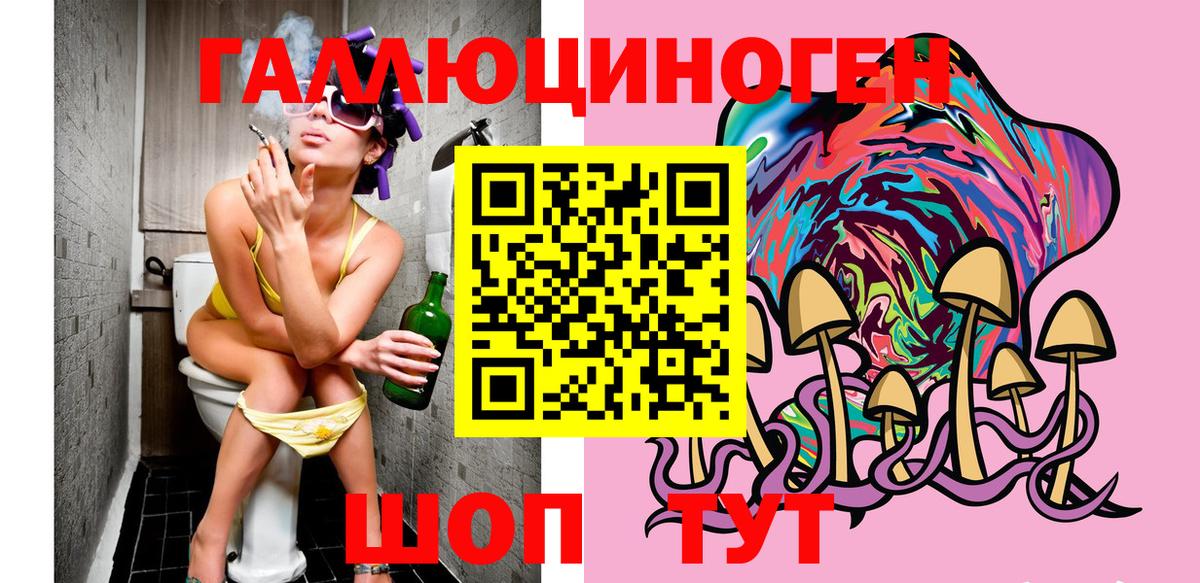 Свободный  Псилоцибиновые грибы прущие грибы  Вход с VPN 
